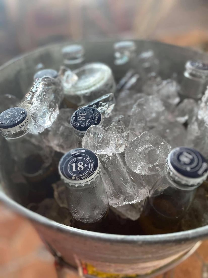 Cervezas Corona en hielo